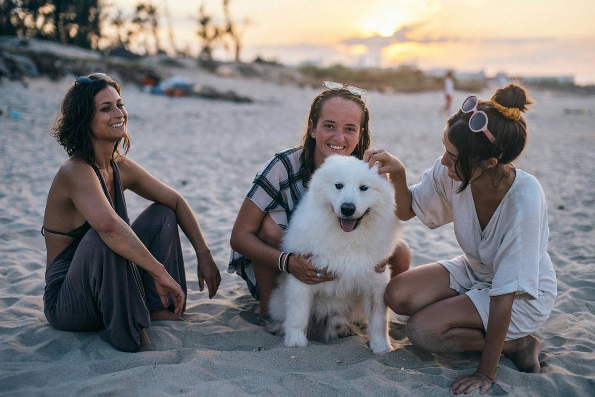 samojed z rodziną na plaży, wszyscy siedzą na piasku i pozują do zdjęcia.